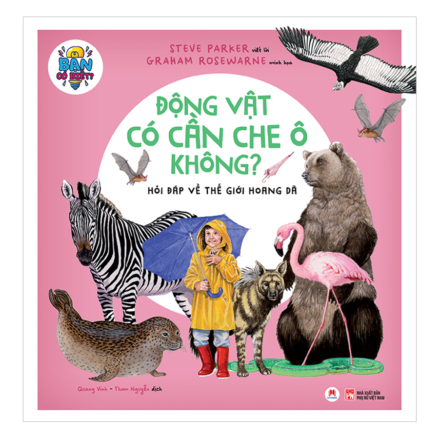 Combo Bạn Có Biết