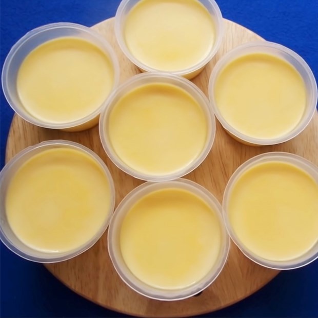 Bộ 20 cái khuôn làm bánh flan nhựa Hofaco HPB83