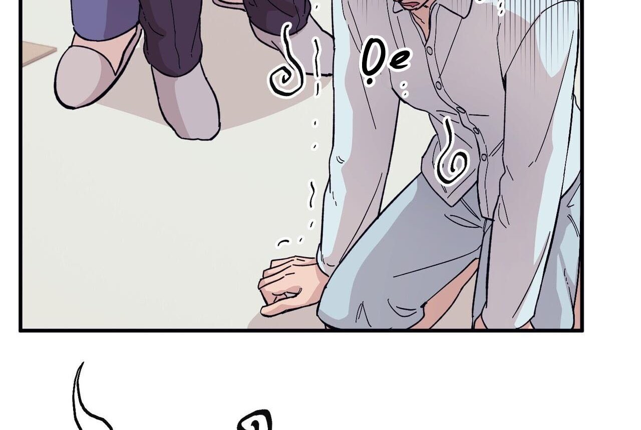 chàng dâu nhà họ kang chapter 46 174