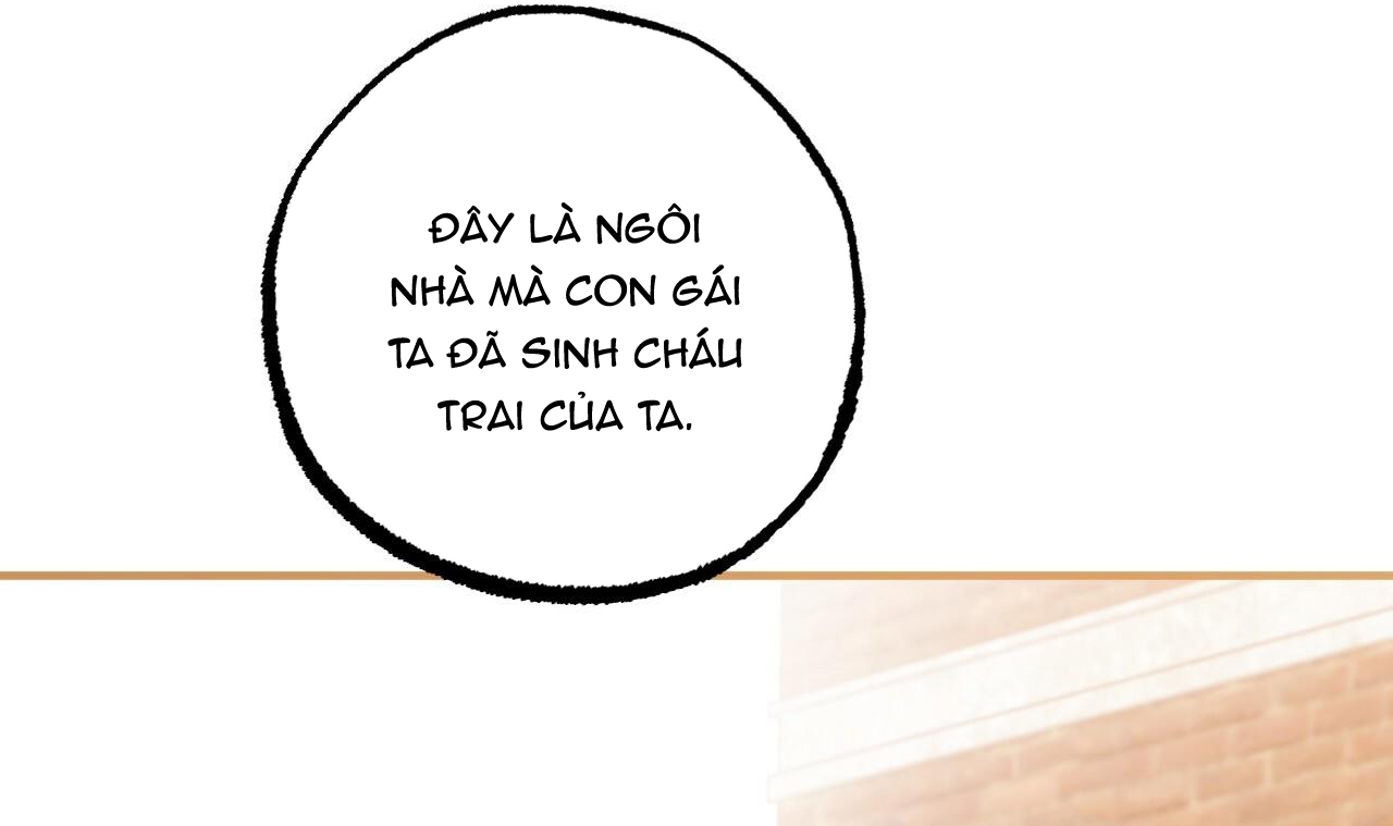 những chú thỏ của hapypy chapter 49 209