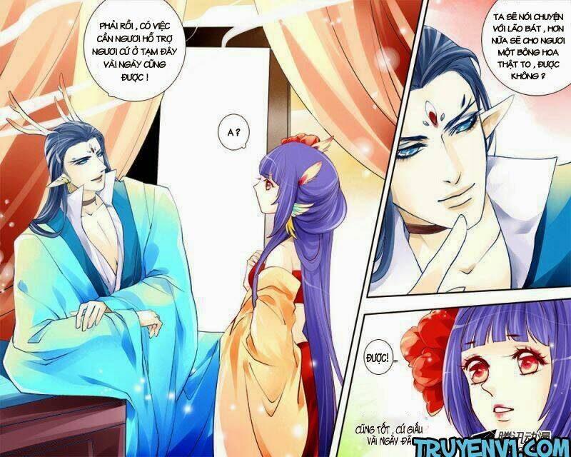 long phượng trình tường chapter 47 4