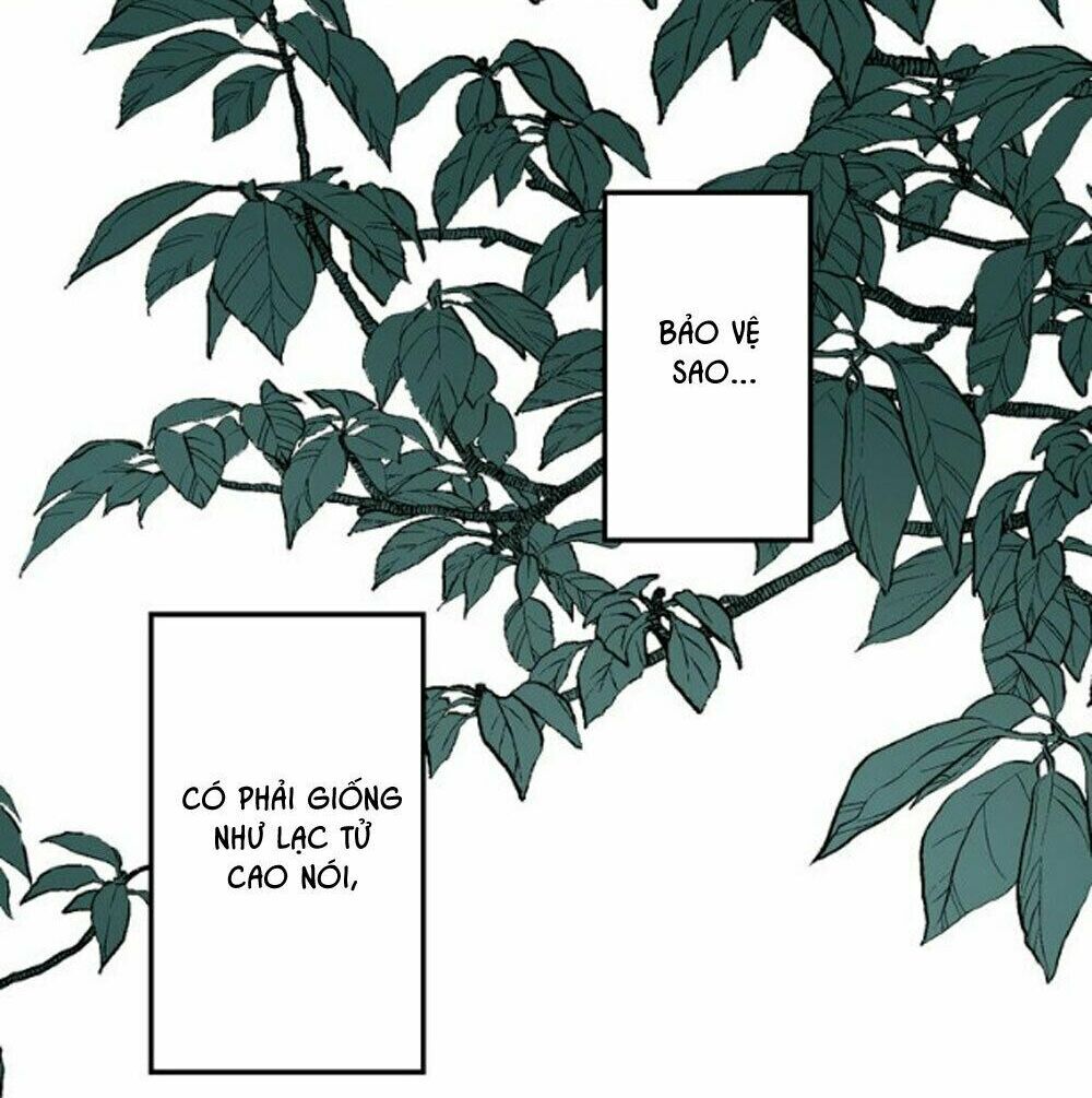 bài ca tình yêu chapter 4 61