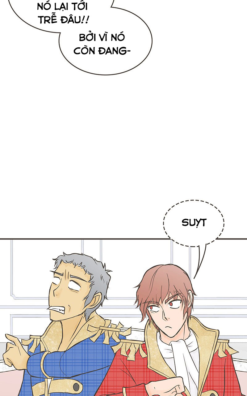 những nàng công chúa bị nguyền rủa chapter 24 40