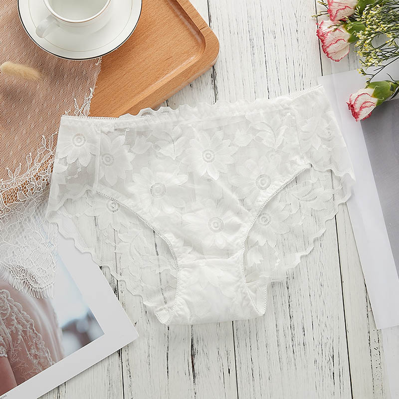 COMBO 5 QUẦN BÔNG ÉP HOA CÚC SEXY 817