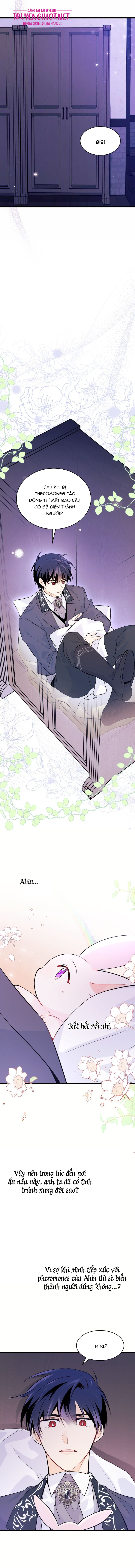 mối liên kết giữa báo đen và bé thỏ chapter 36.1 11