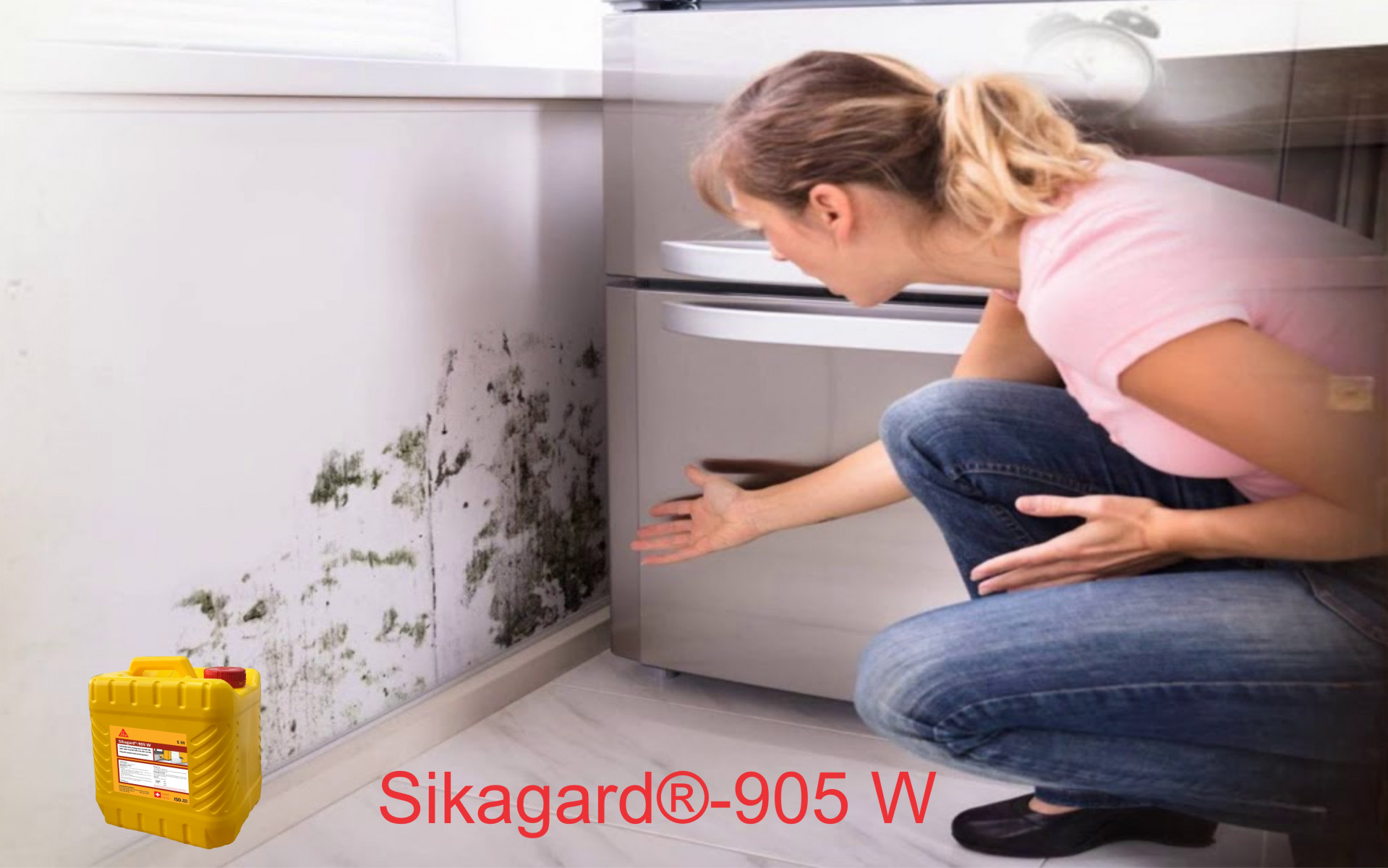Chống thấm không màu trong suốt tạo độ cứng có thể thi công chống thấm ngược trong nhà và ngoài trời chống sự hình thành rêu mốc sikagard905