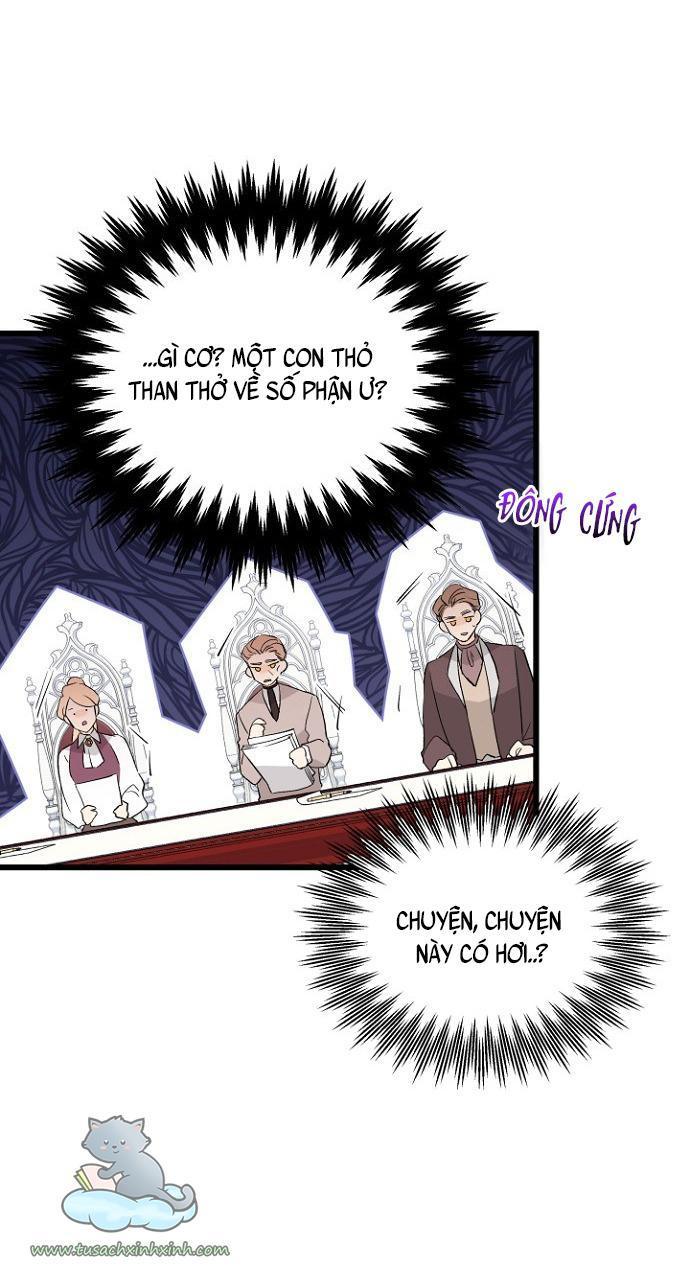 quan hệ cộng sinh giữa báo đen và thỏ trắng chapter 47 26