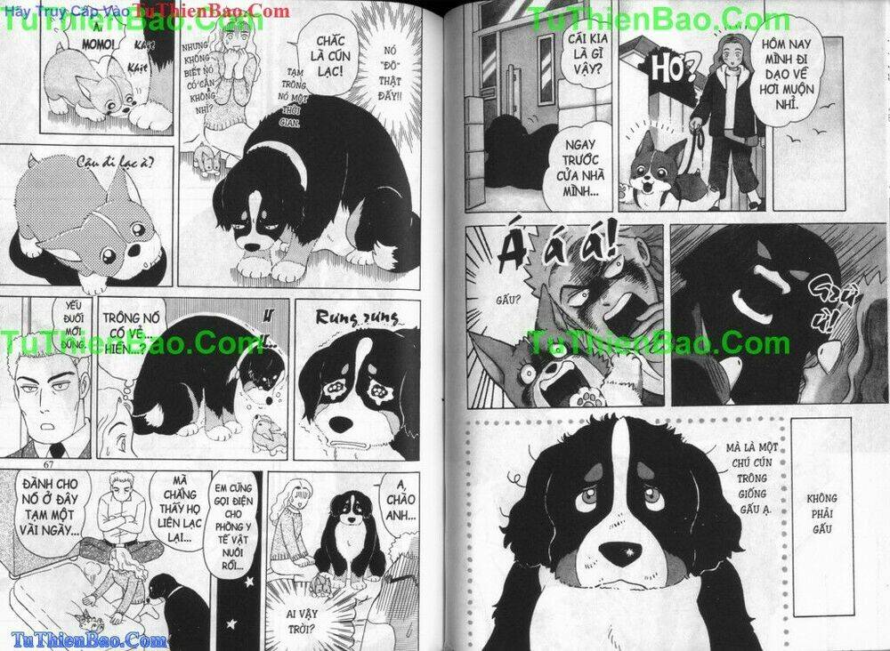 chó con mo mo chapter 6 34