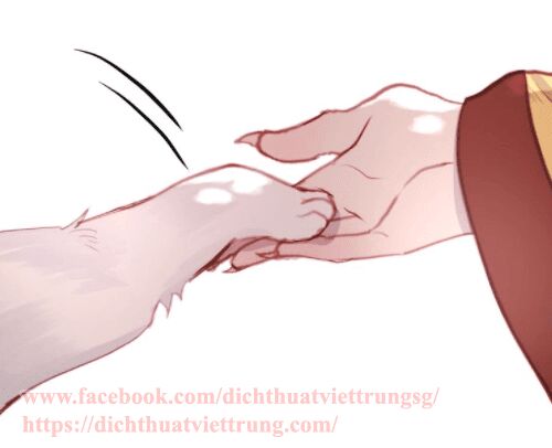 lượm được một tiểu hồ ly phần 1 chapter 71 4