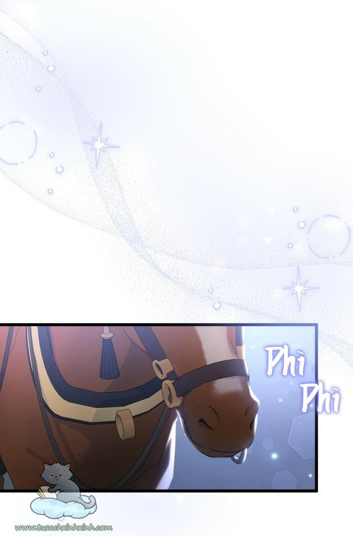 quan hệ cộng sinh giữa báo đen và thỏ trắng chapter 62 57