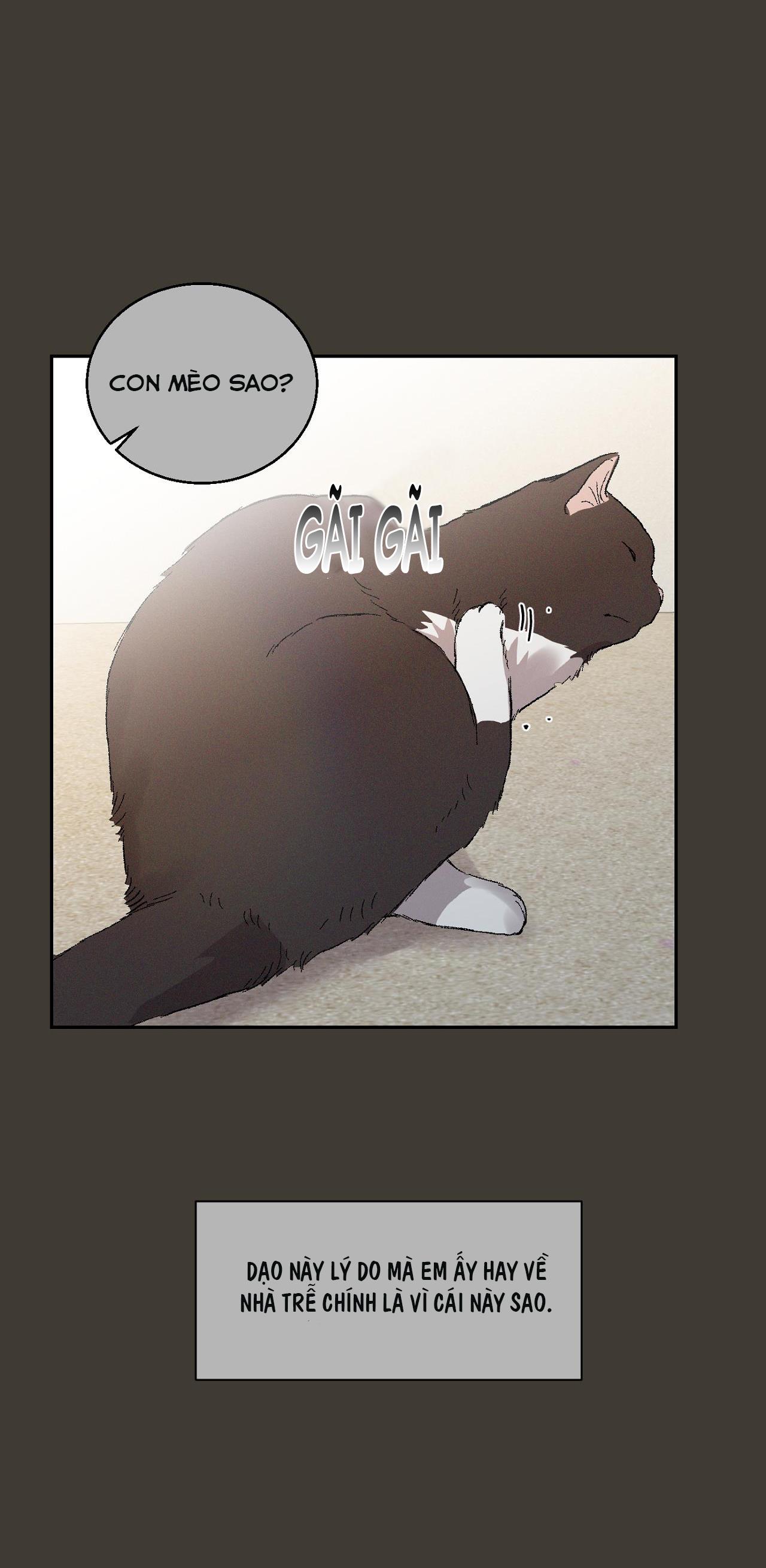 nuốt chửng bóng đêm chapter 14 8