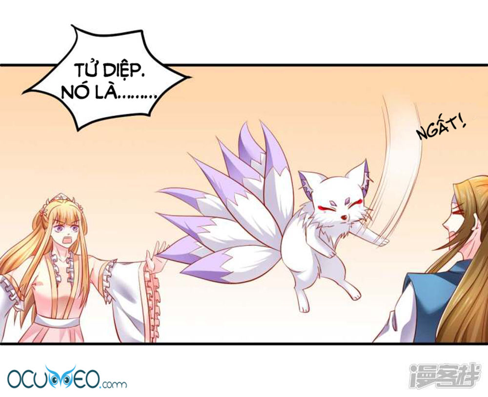 từ đây vương gia không thượng triều sớm chapter 58 5