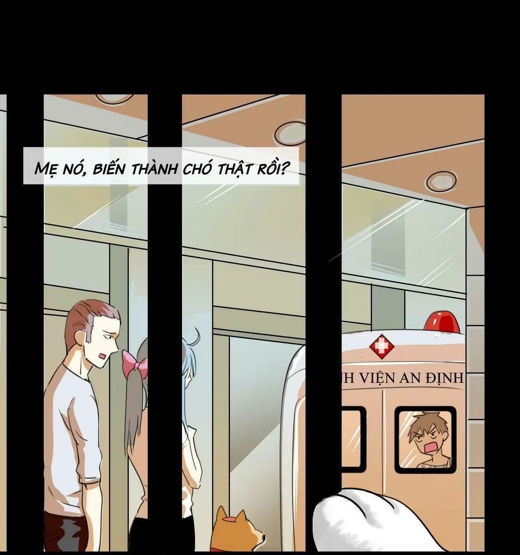 một con chó chapter 56 6