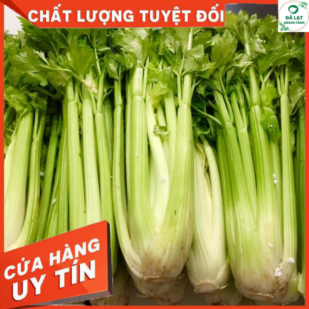 100H - HẠT GIỐNG CẦN TÂY MỸ KHỔNG LỒ