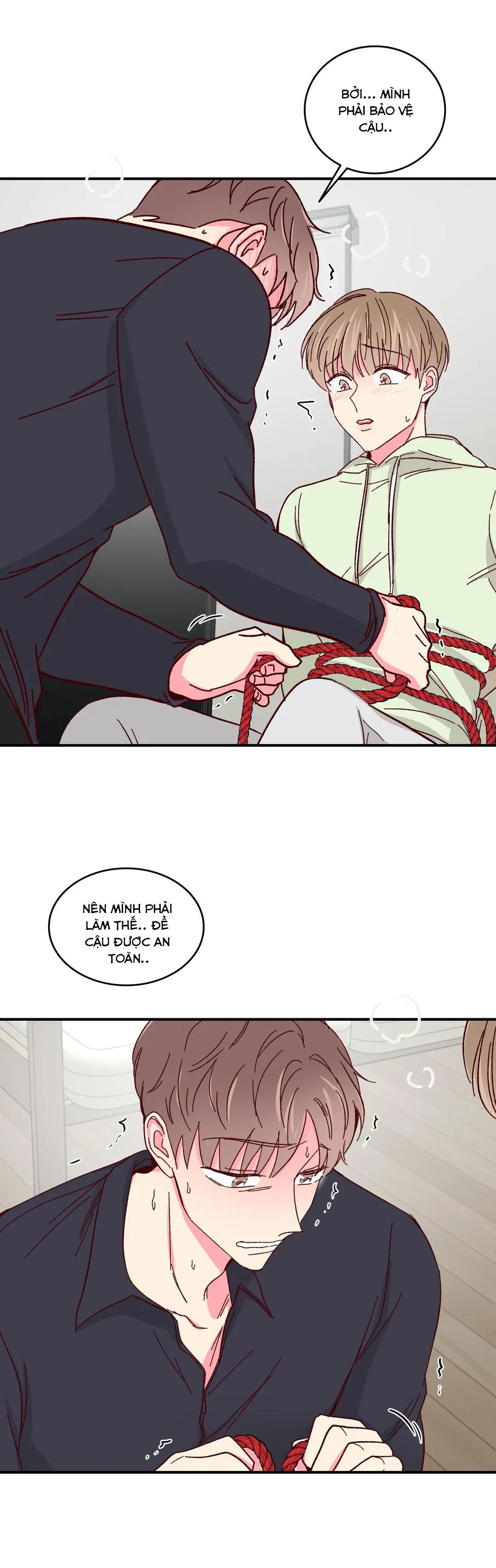 món tráng miệng của sếp tổng chapter 56 14