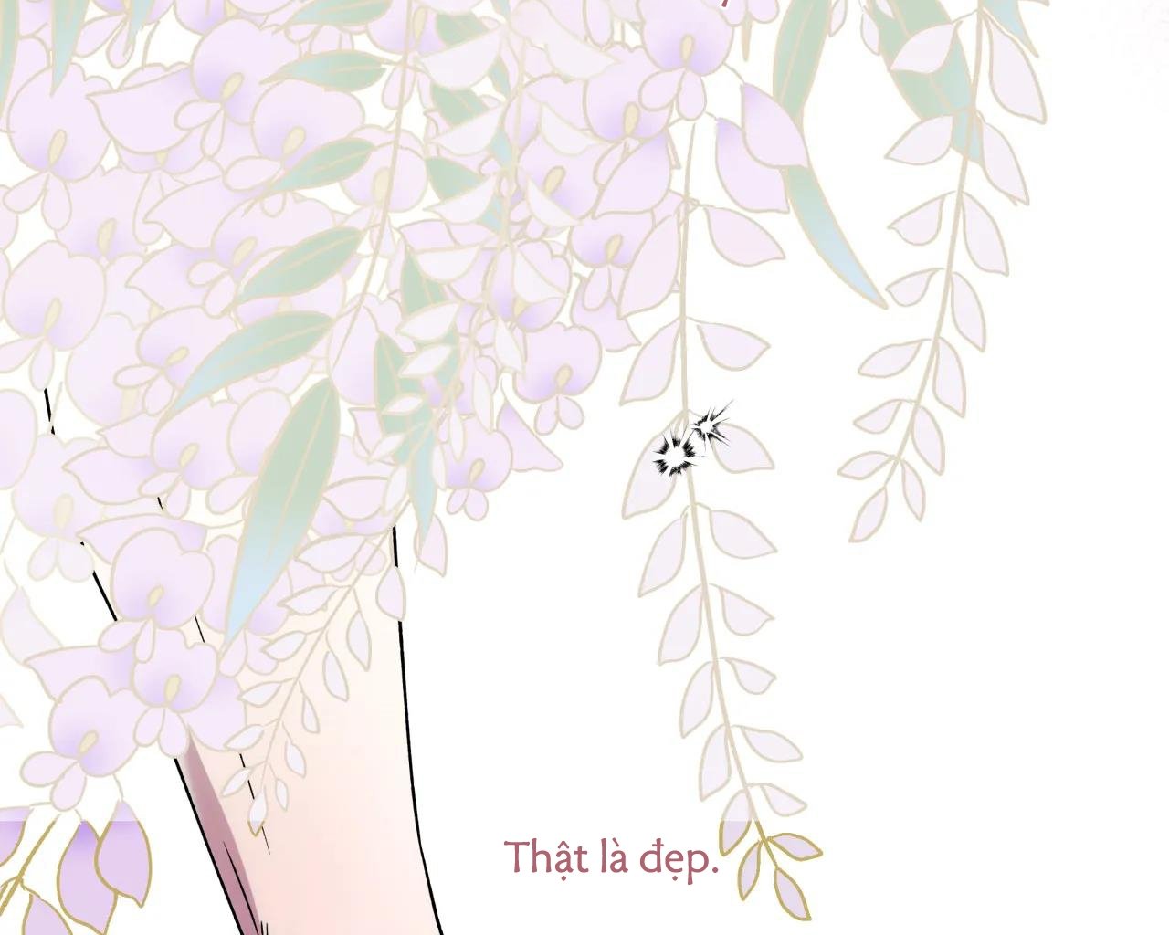 ám ảnh pheromone chapter 65 78