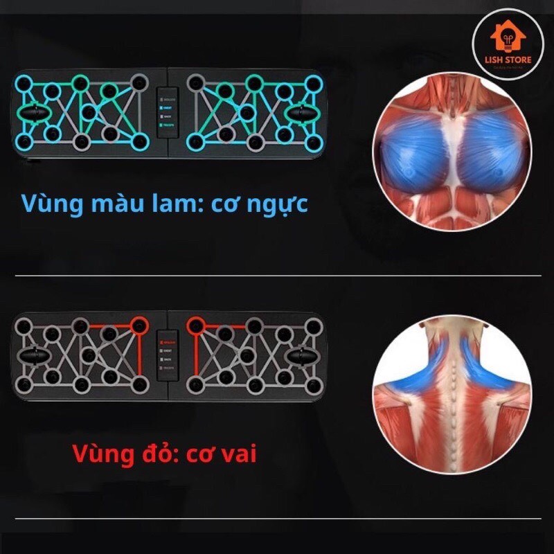 Bộ Tập Chống Đẩy Đa Năng PARALLETTES - Bộ Tập Hít Đất Tập Gym Tại Nhà Tăng Cơ Ngực Tay Vai Lưng
