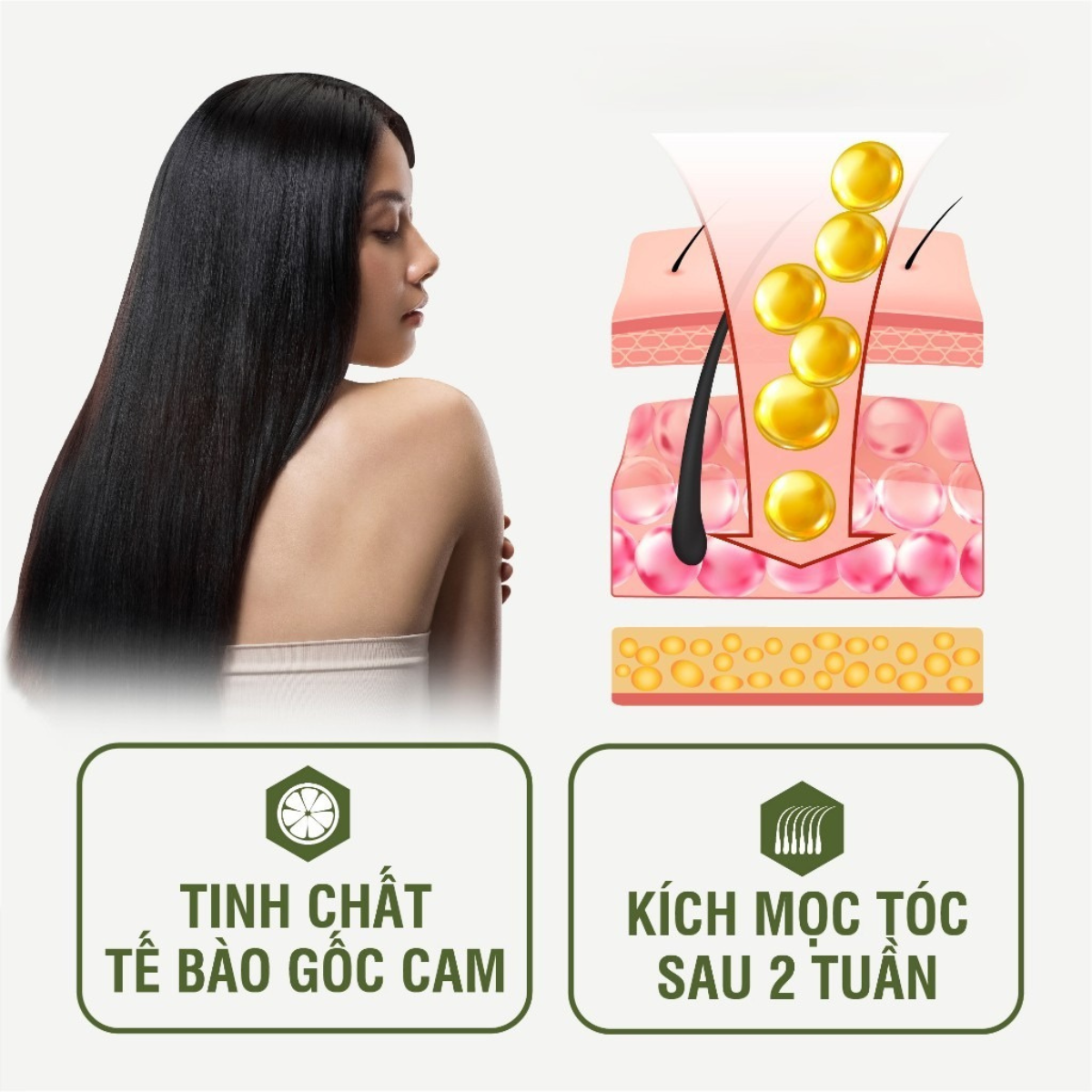 Dầu Xả Dưỡng Tóc Oriti Mee Natural Phục Hồi Ngăn Rụng Tóc Dưỡng Tóc Suôn Mượt 500ml