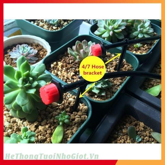 50 đầu nhỏ giọt 8 tia tưới gốc cây 206852