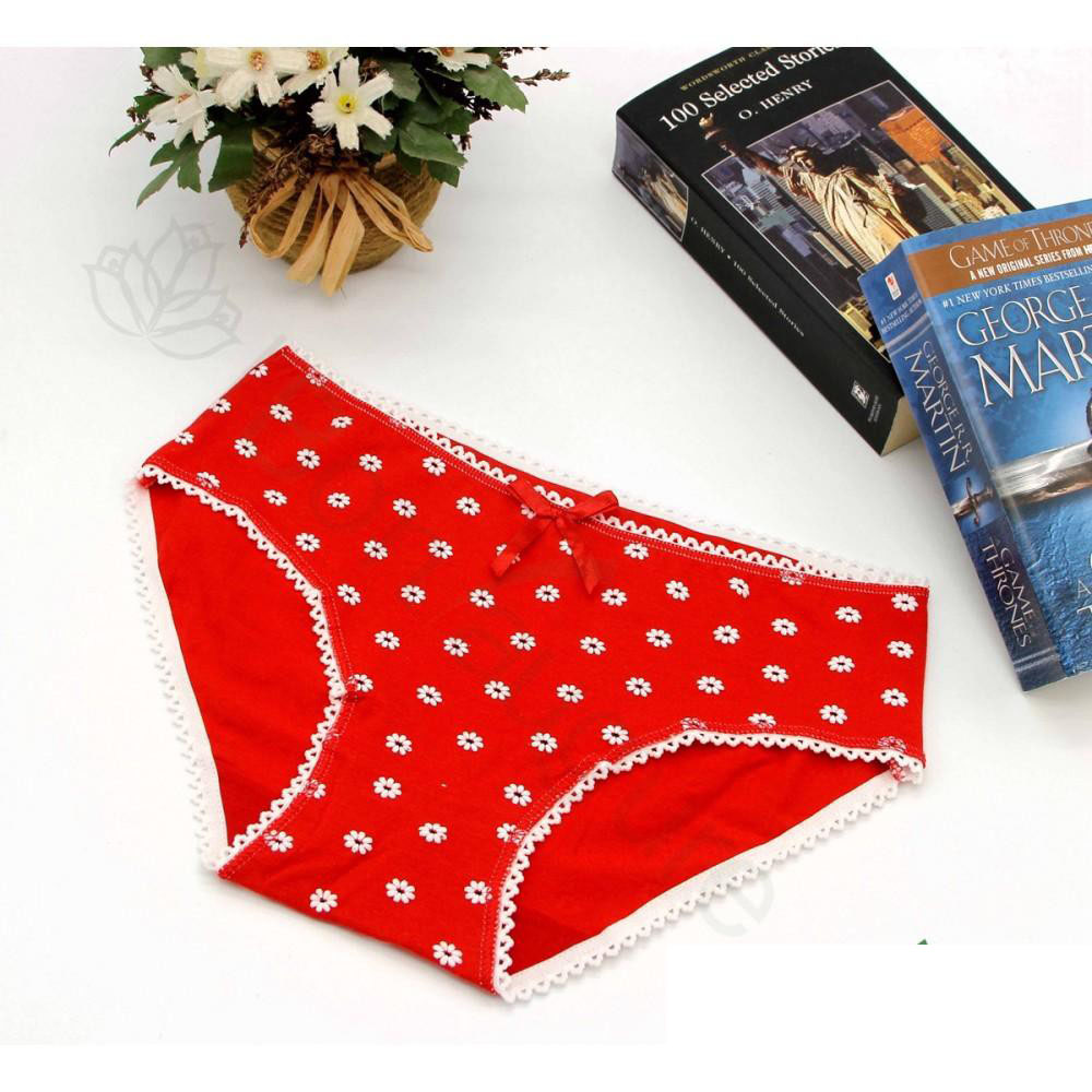 Bộ Combo 05 Quần Lót Nữ Bông Nhí Cute Vải Cotton Cao Cấp
