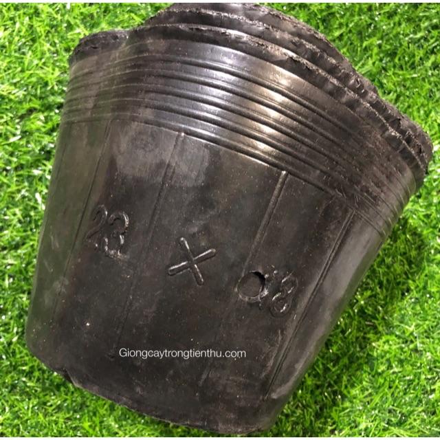30 TÚI BẦU TRỒNG CÂY HOA ,CÂY CẢNH,CÂY ĂN QUẢ 23x18cm