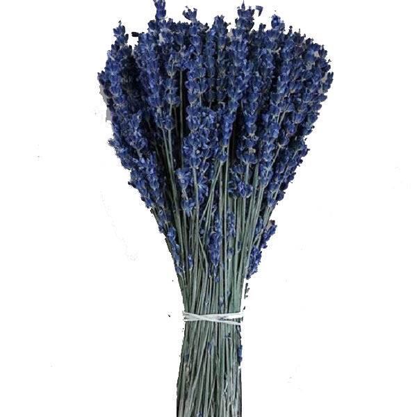 Bó Hoa Lavender Nhập Khẩu Pháp 300 Cành