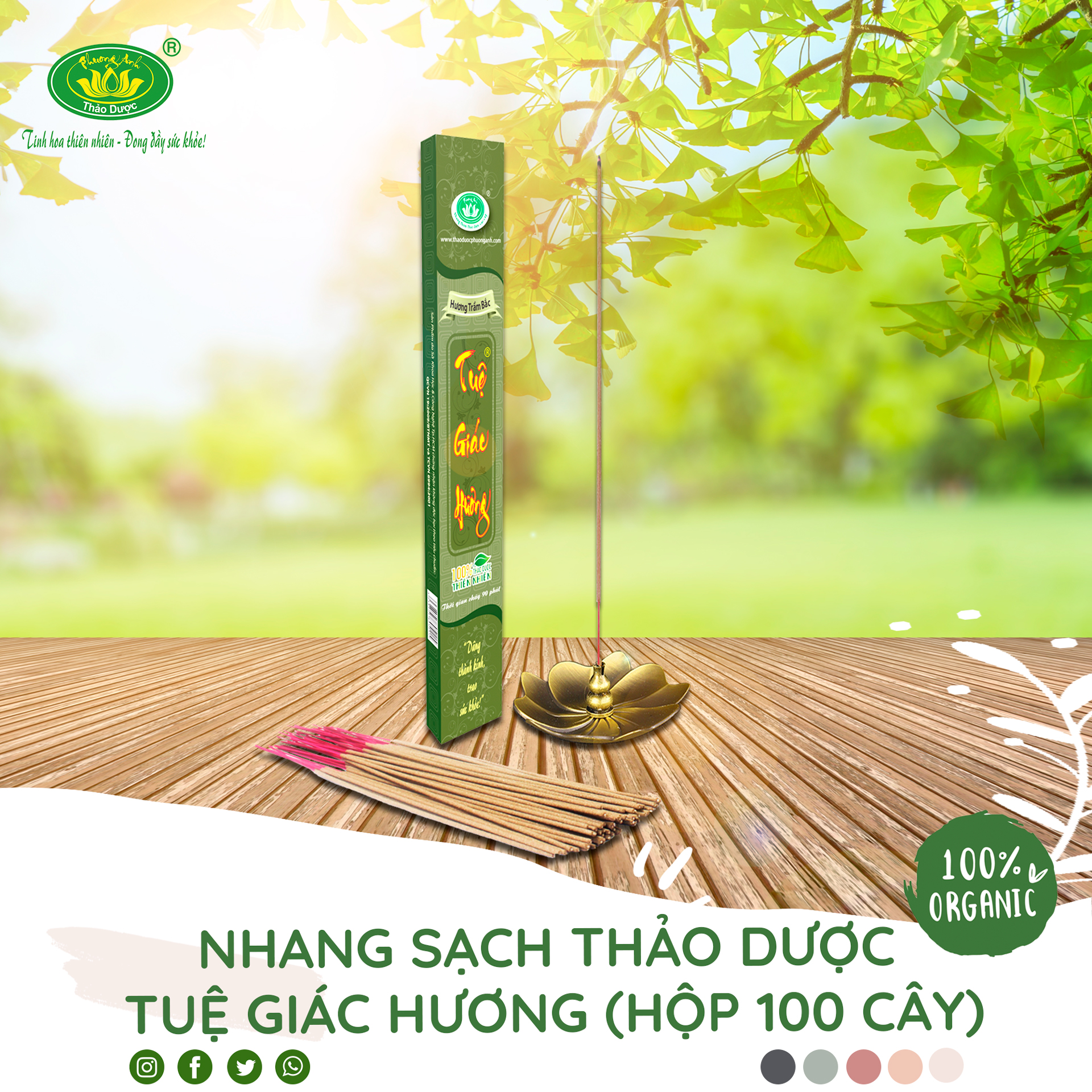 Nhang sạch thảo dược Tuệ Giác Hương 4 Tấc thời gian cháy 90 phút