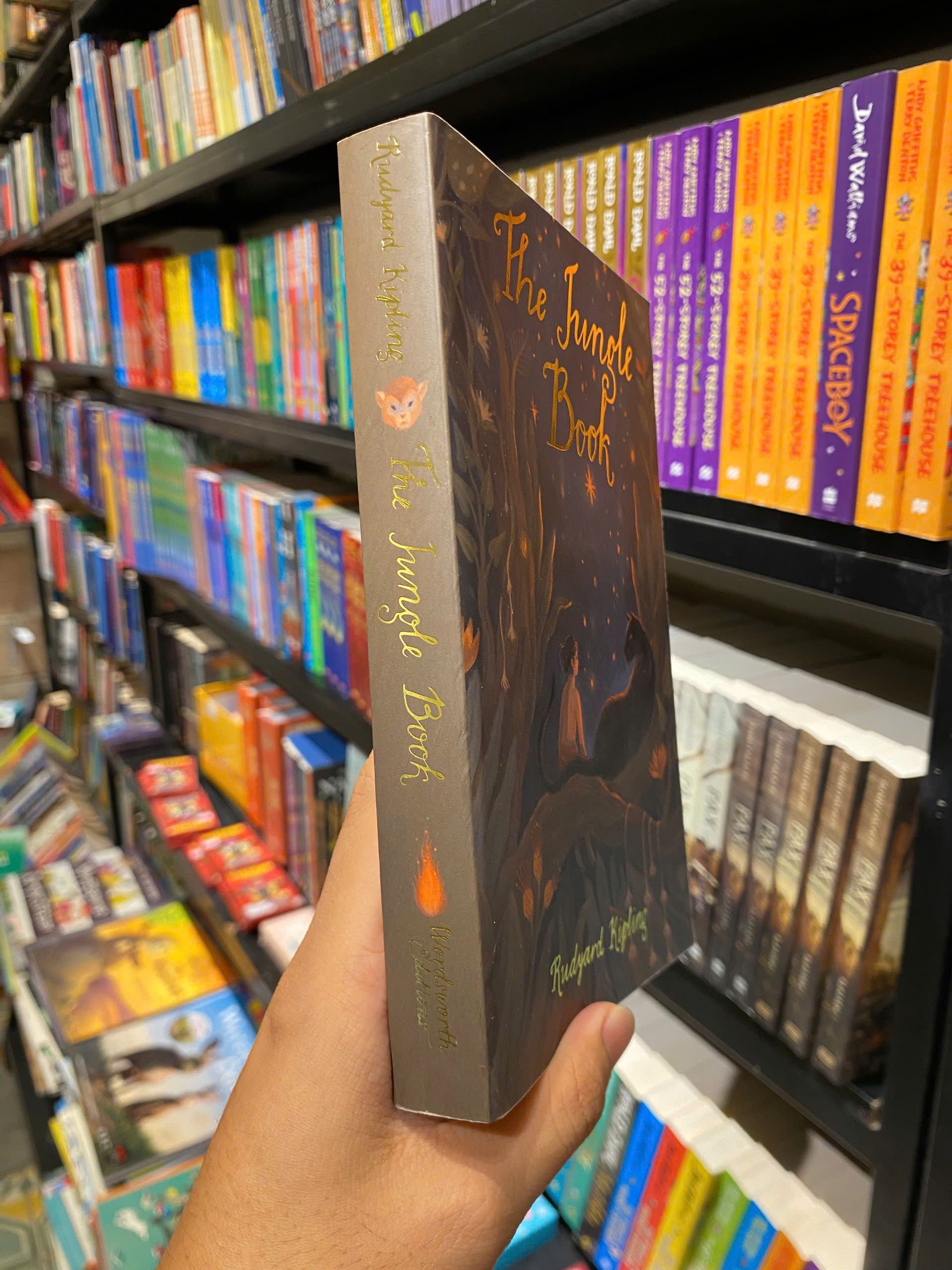 Sách - The Jungle Book by Rudyard Kipling - Sách Thiếu nhi Tiếng Anh / English Childrens Novel