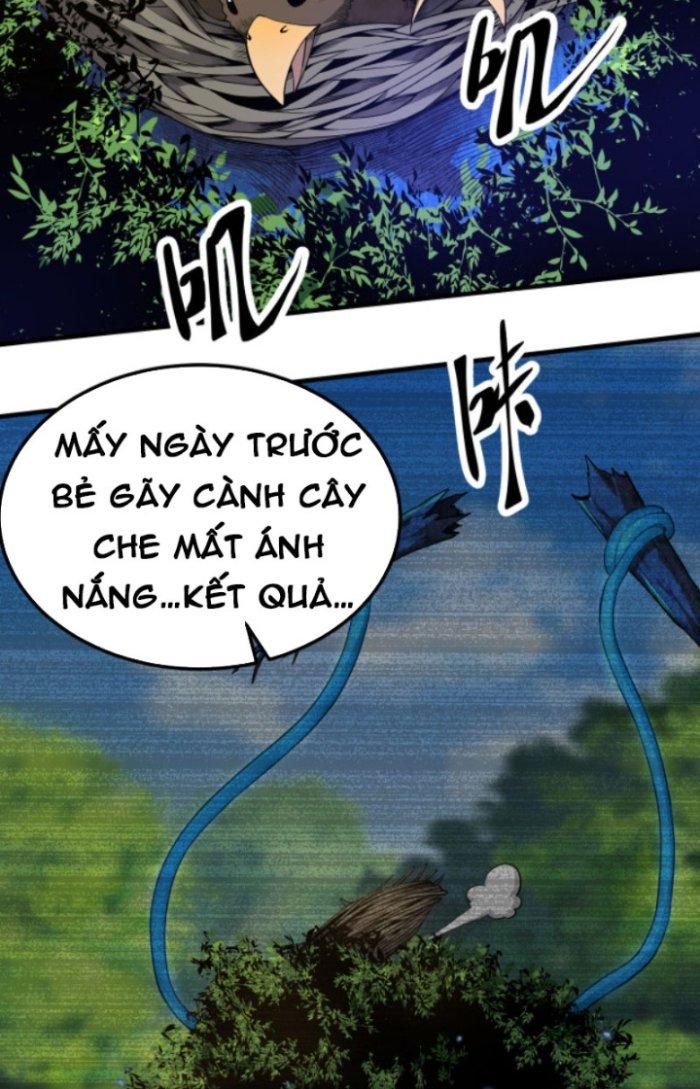 từ cây cổ thụ bắt đầu tiến hóa chapter 2 5