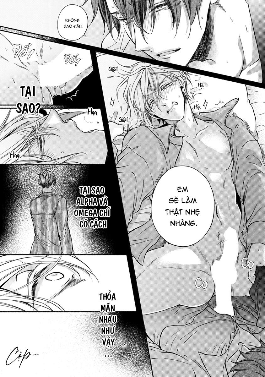 omega giả vờ kiên cường đó là bạn tình của tôi chapter 2 43