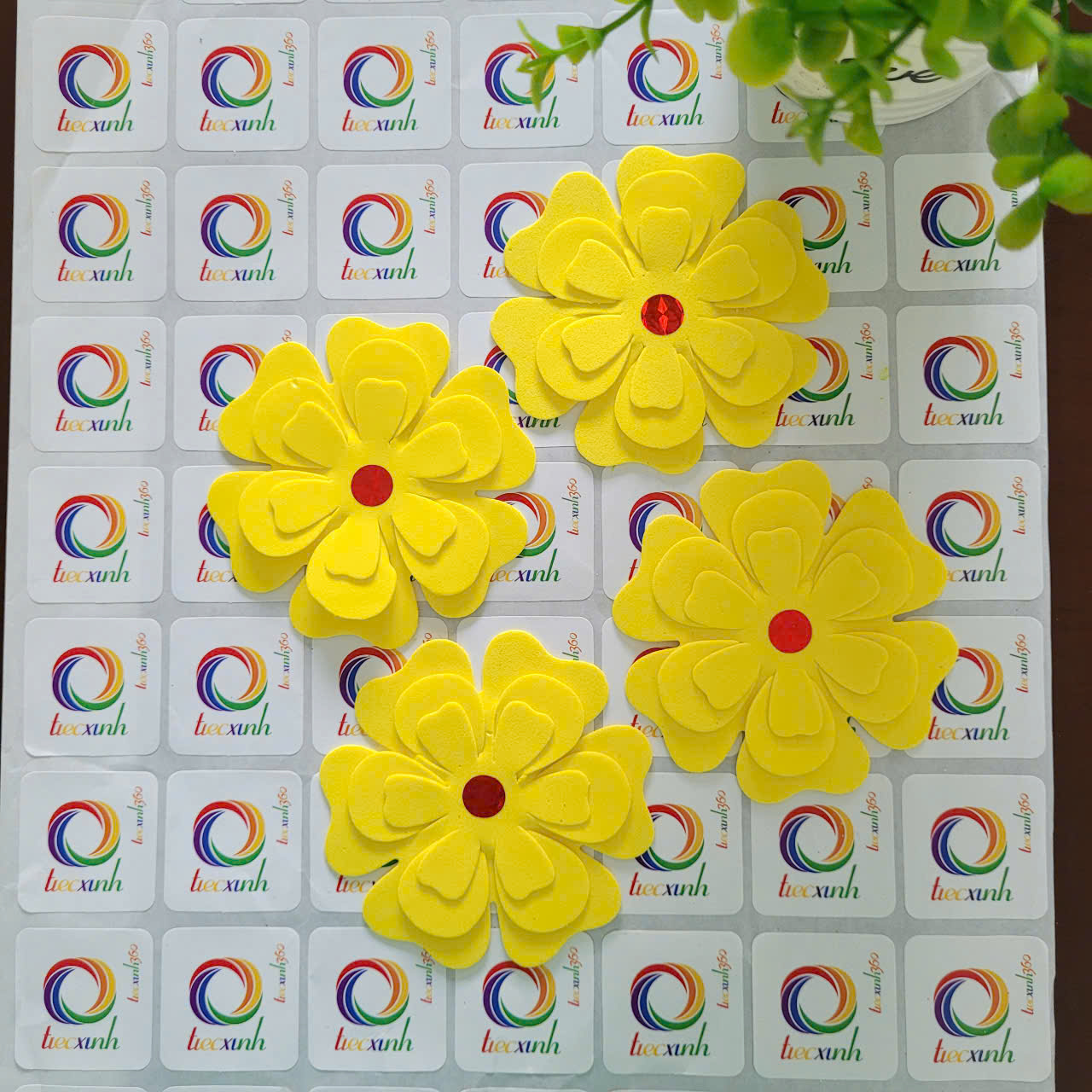 Hoa mai mút dẻo trang trí tết