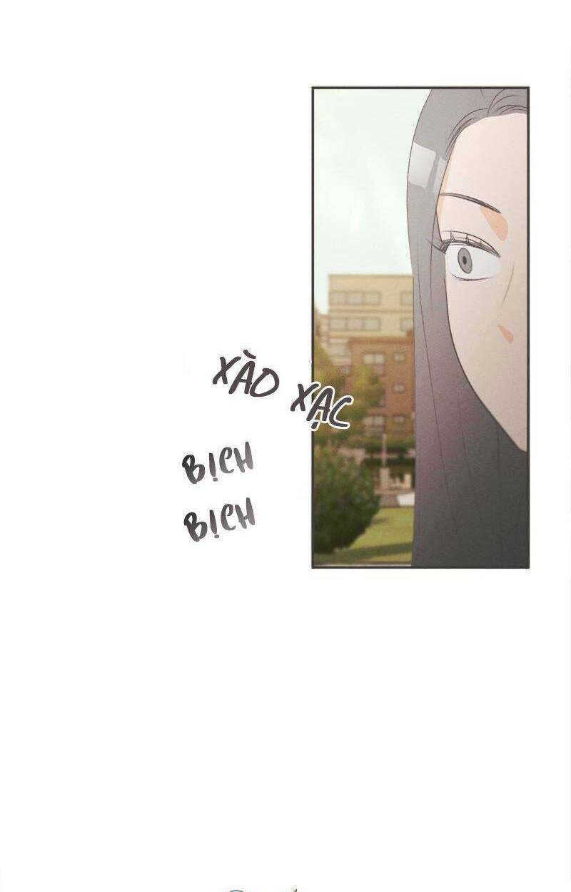 giấc mộng đêm hè chapter 6 42