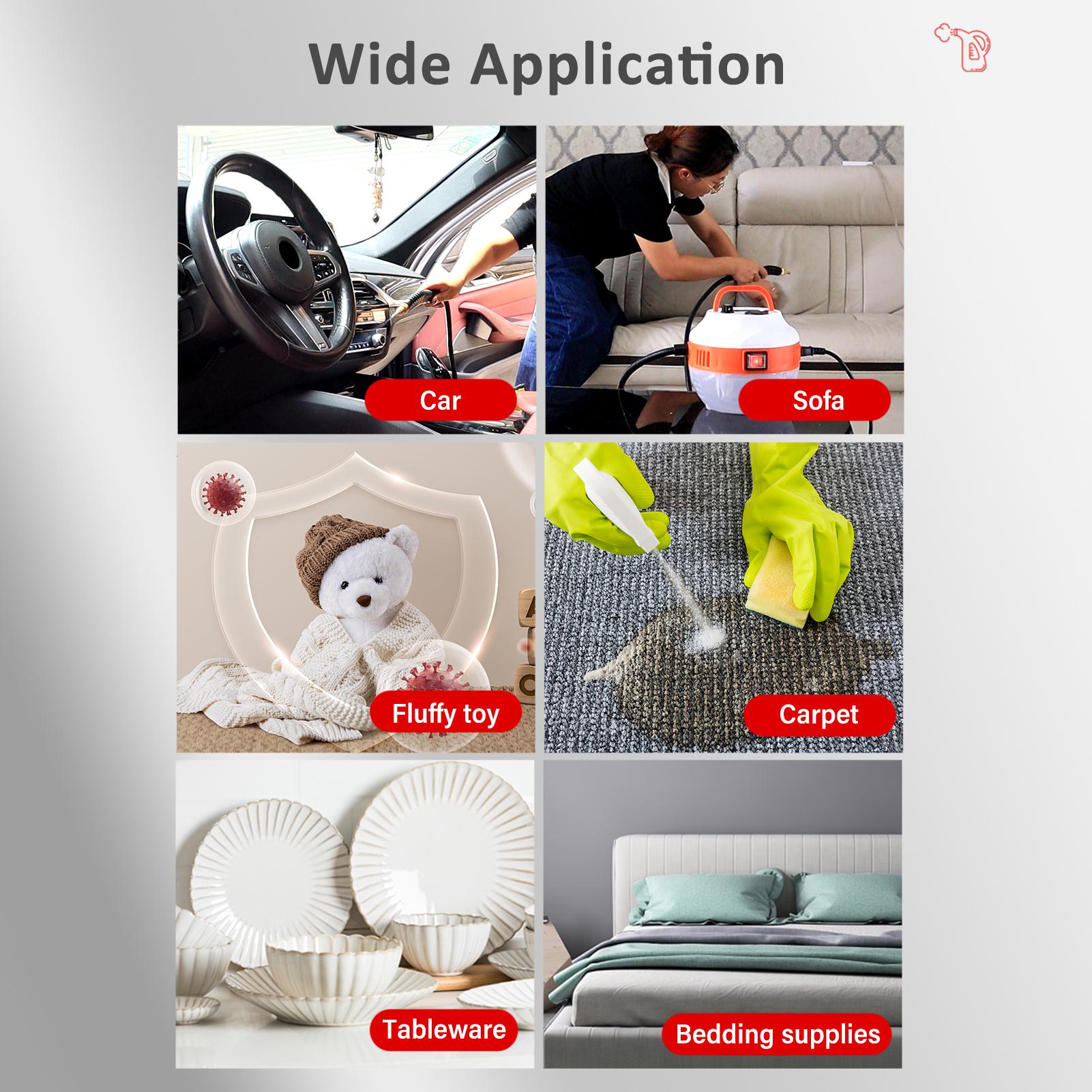 2500W Portable Handheld Steam Cleaner High Temperature Pressurized Steam Cleaning Machine with Brush Heads