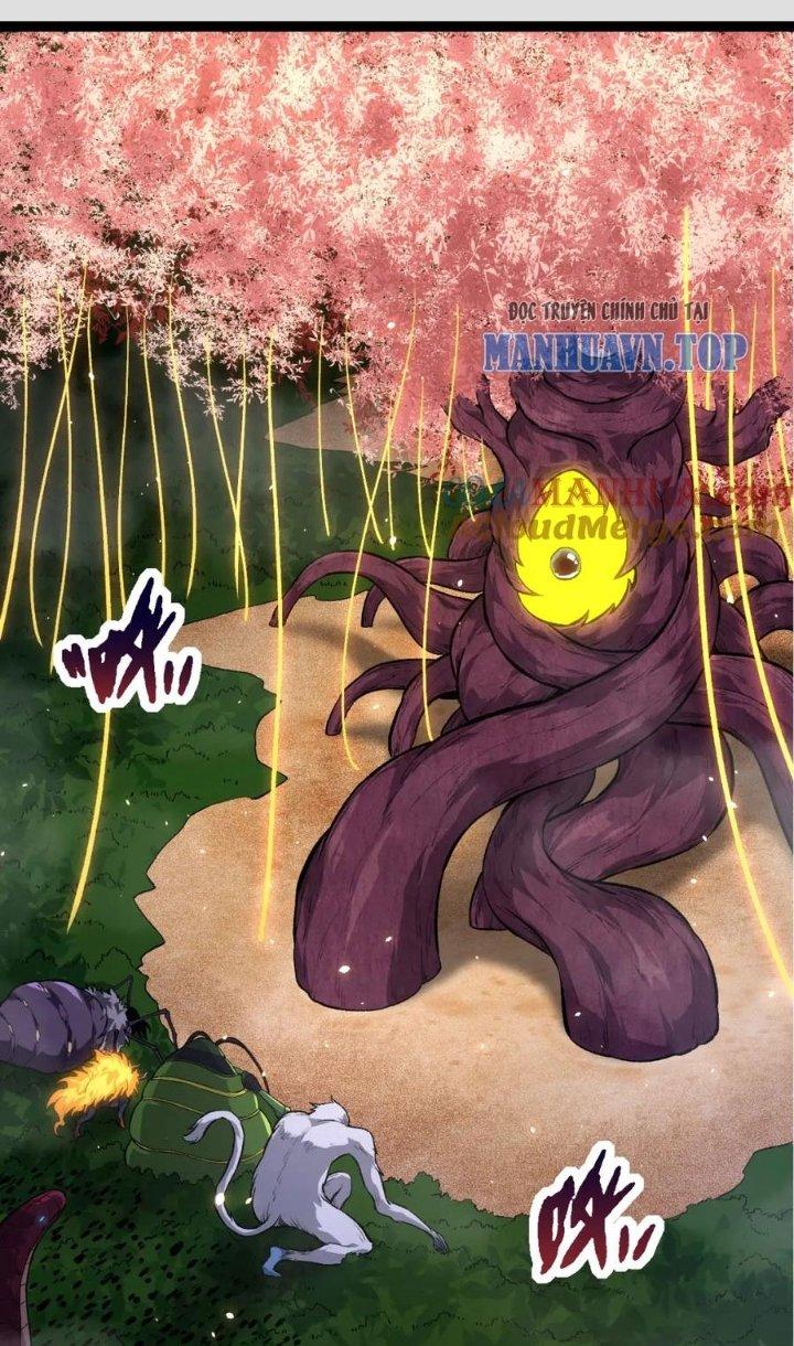 từ cây cổ thụ bắt đầu tiến hóa chapter 72 2