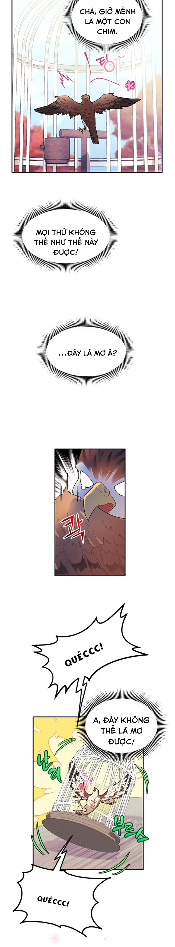 công chúa chim ưng cavier chapter 2 2