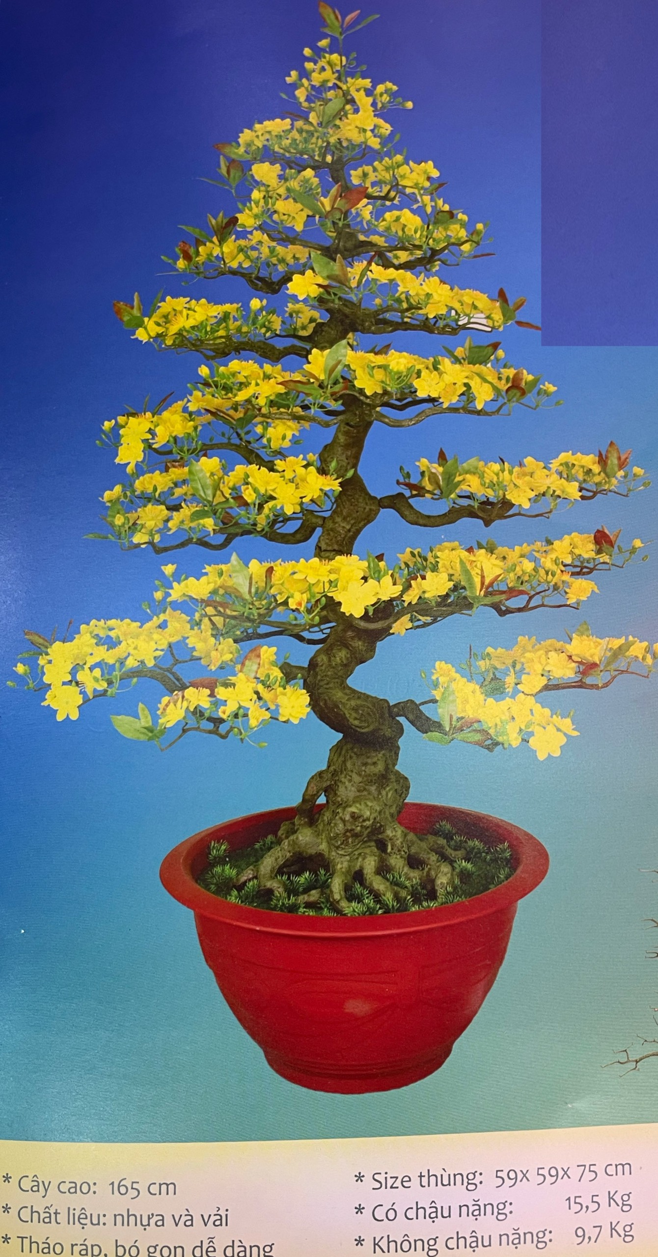 Cây Hoa Mai Giả Bonsai Cao 1m65 Hoa Mai Giả Trang Trí Tết