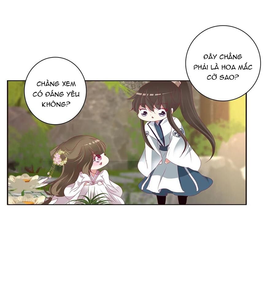 thông linh phi chapter 588 5