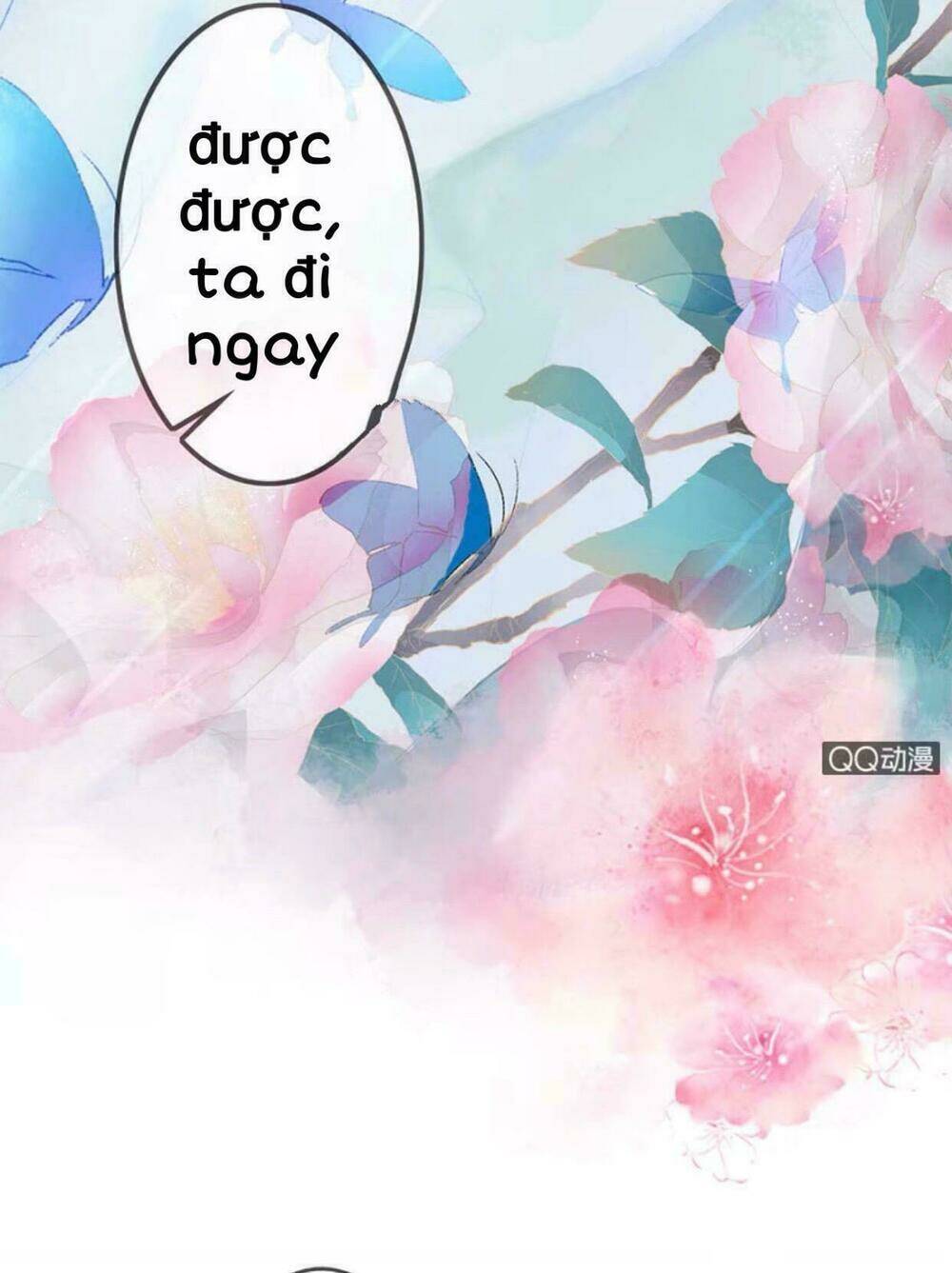 sủng phi của vương chapter 3 11