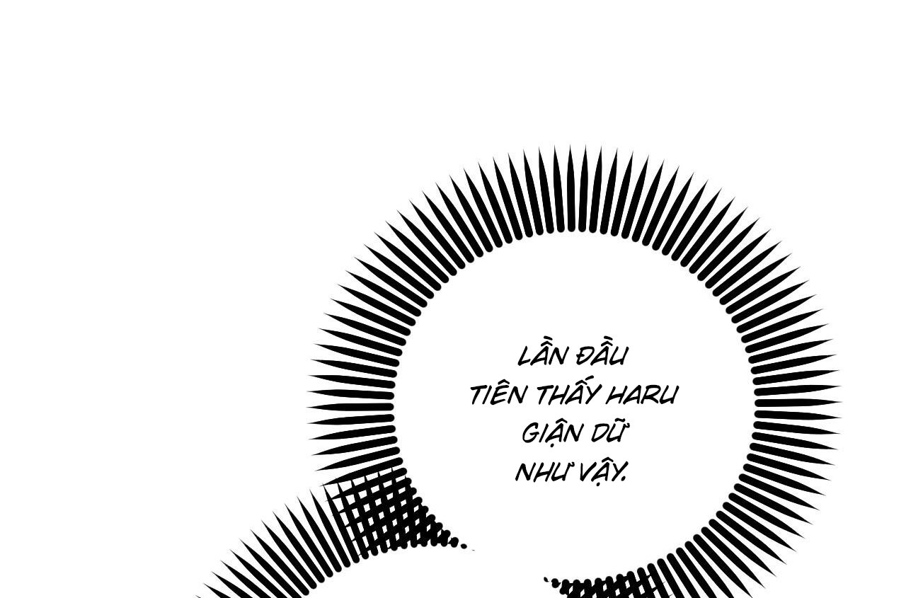 những chú thỏ của hapypy chapter 58 160