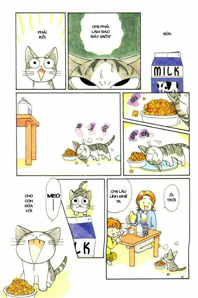 chi's sweet home chapter 31 7