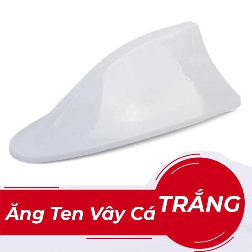 Ăng ten vây cá không đèn, ốp được cây ăng ten cũ, ăng ten trang trí cho xe ô tô