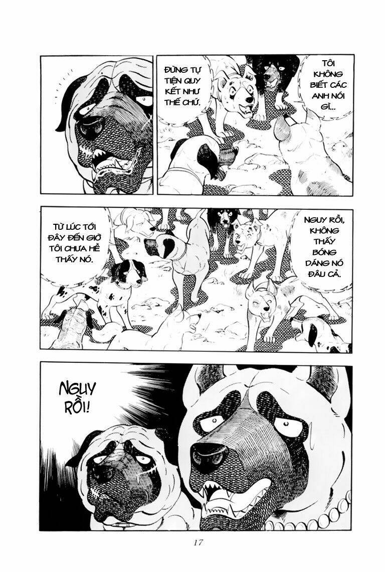 chú chó có nghĩa - ginga nagareboshi gin chapter 31 18