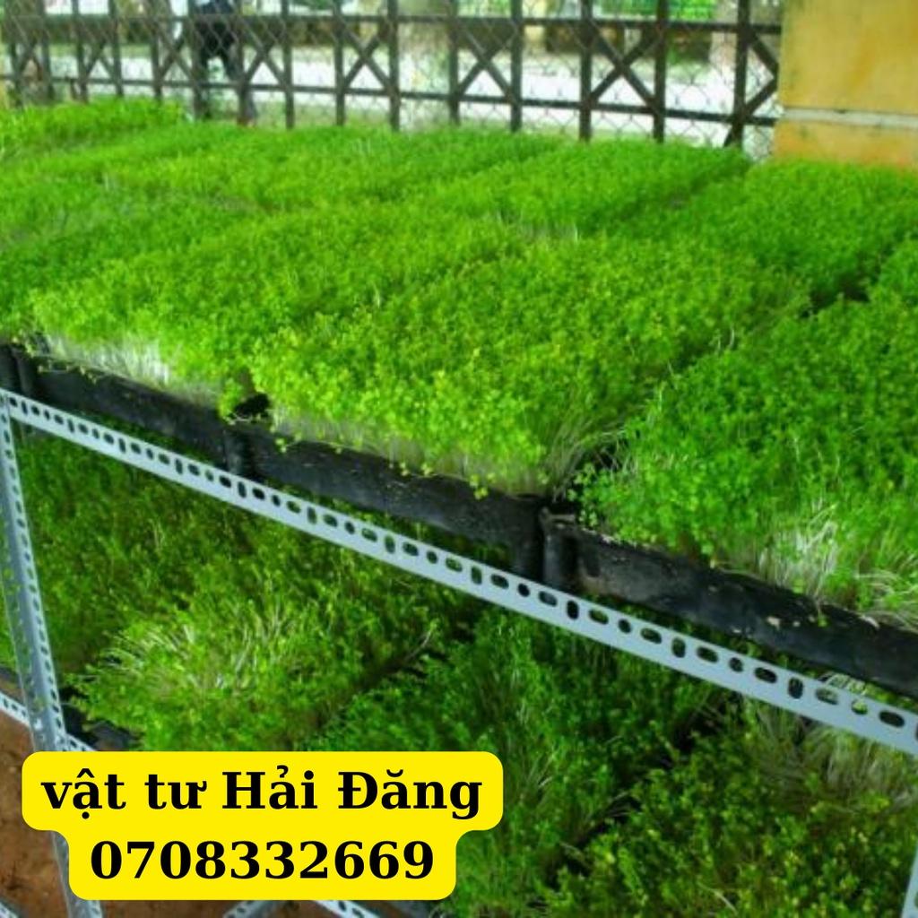 Khung kệ sắt trồng rau sạch 2 tầng 10 khay nhựa ,kích thước khay đều vừa ,kệ không bao gồm khay nhựa