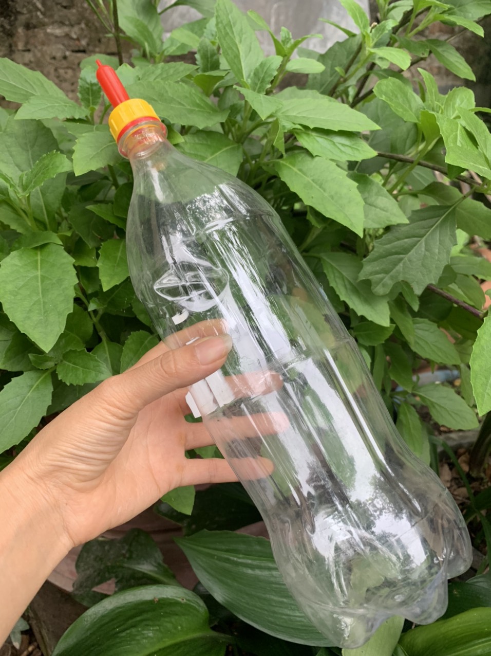 Núm vú sữa cho dê lắp chai nhựa
