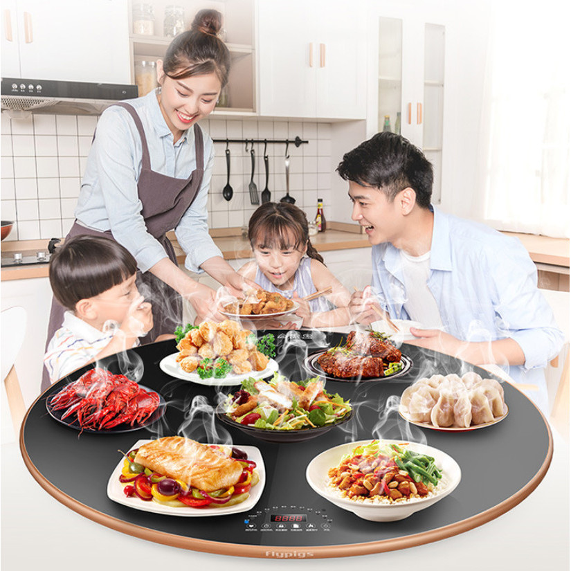 Mâm điện tử giữ nóng thức ăn đa năng 380W