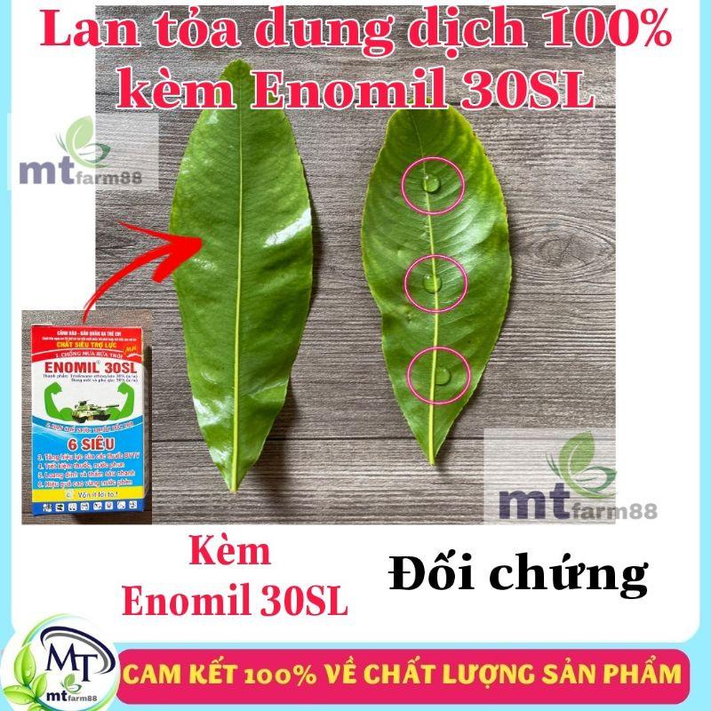 SIÊU TRỢ LỰC Enomil 6 SIÊU- TĂNG HIỆU LỰC THUỐC BVTV - SIÊU THẨM THẤU VÀ BÁM DÍNH CỰC MẠNH - CHỐNG RỬA TRÔI TRONG 30P