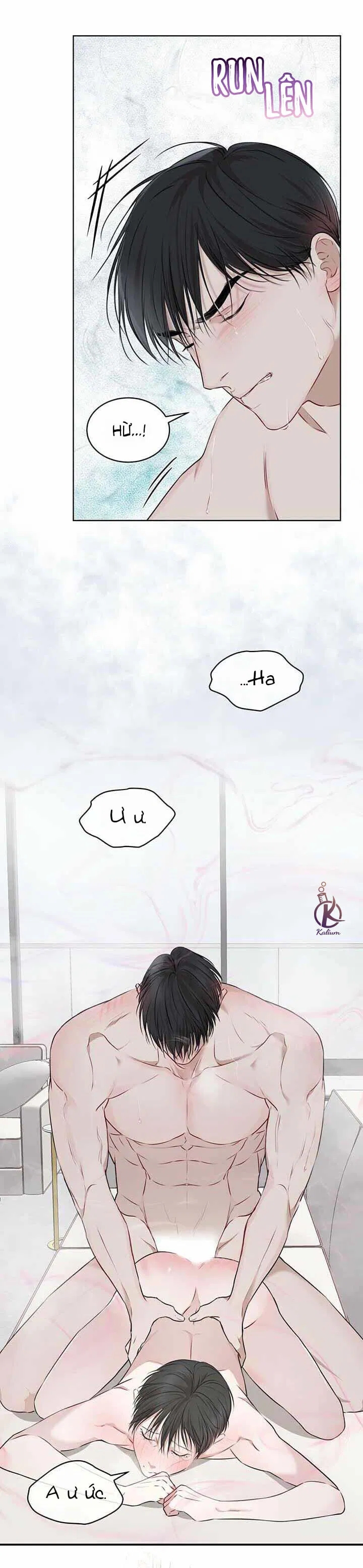 hình thái khởi sinh chapter 23 23