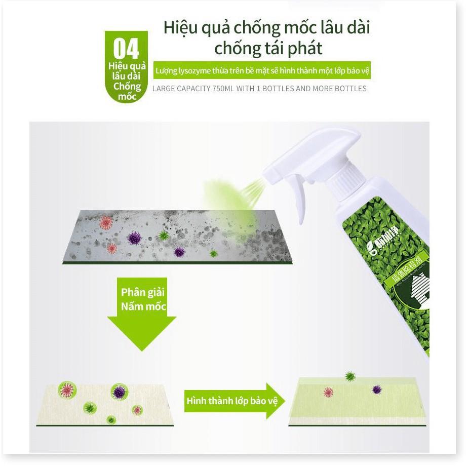 Loại bỏ nấm mốc nhanh, chống mốc Nano Enzyme