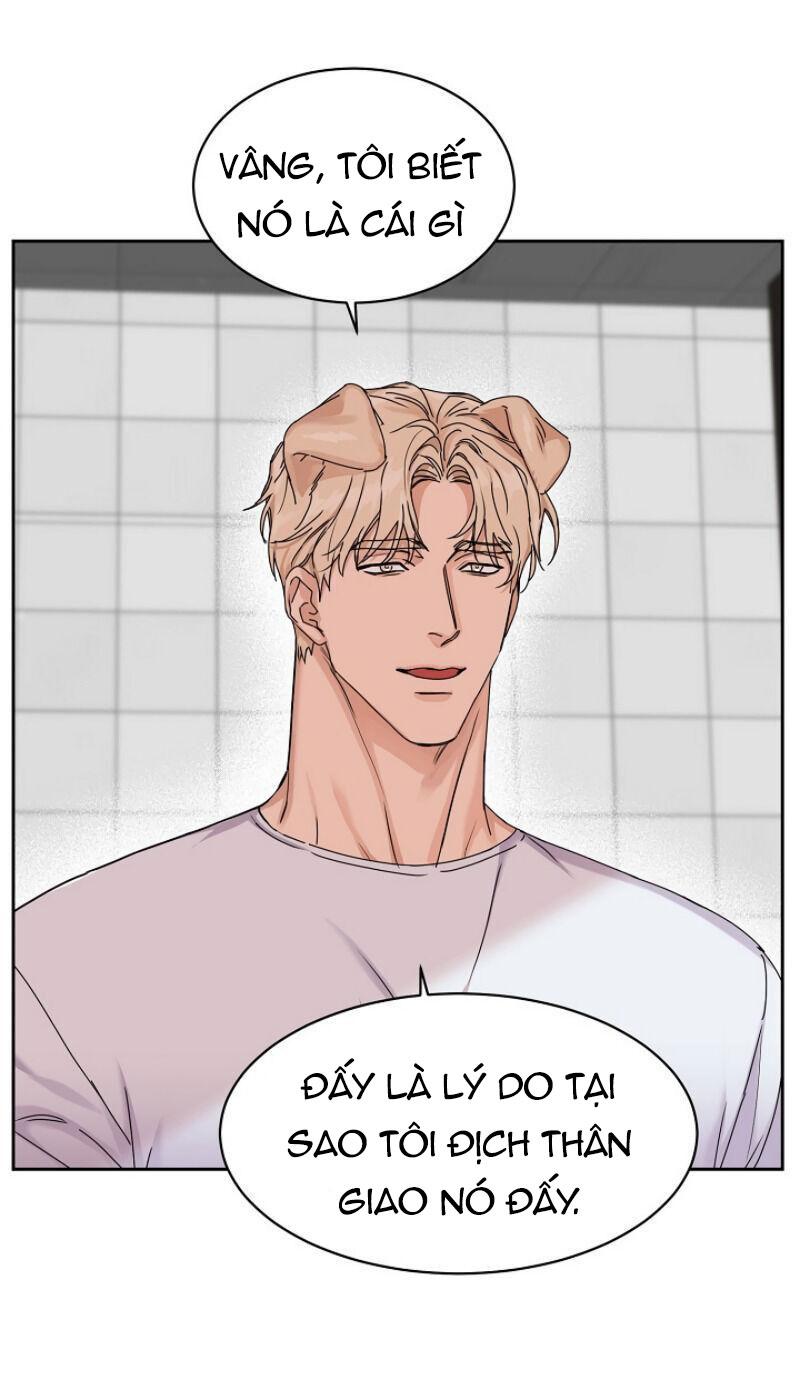 xin hãy nuôi tôi chapter 2 14