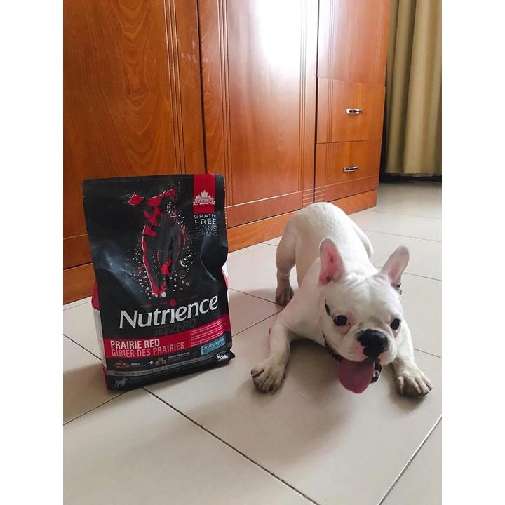 Thức Ăn Hạt Cho Chó Bulldog Nutrience Subzero Bao 5kg - Thức Ăn Cho Chó Gồm Có 6 Loại Thịt Cá, Rau Củ, Trái Cây